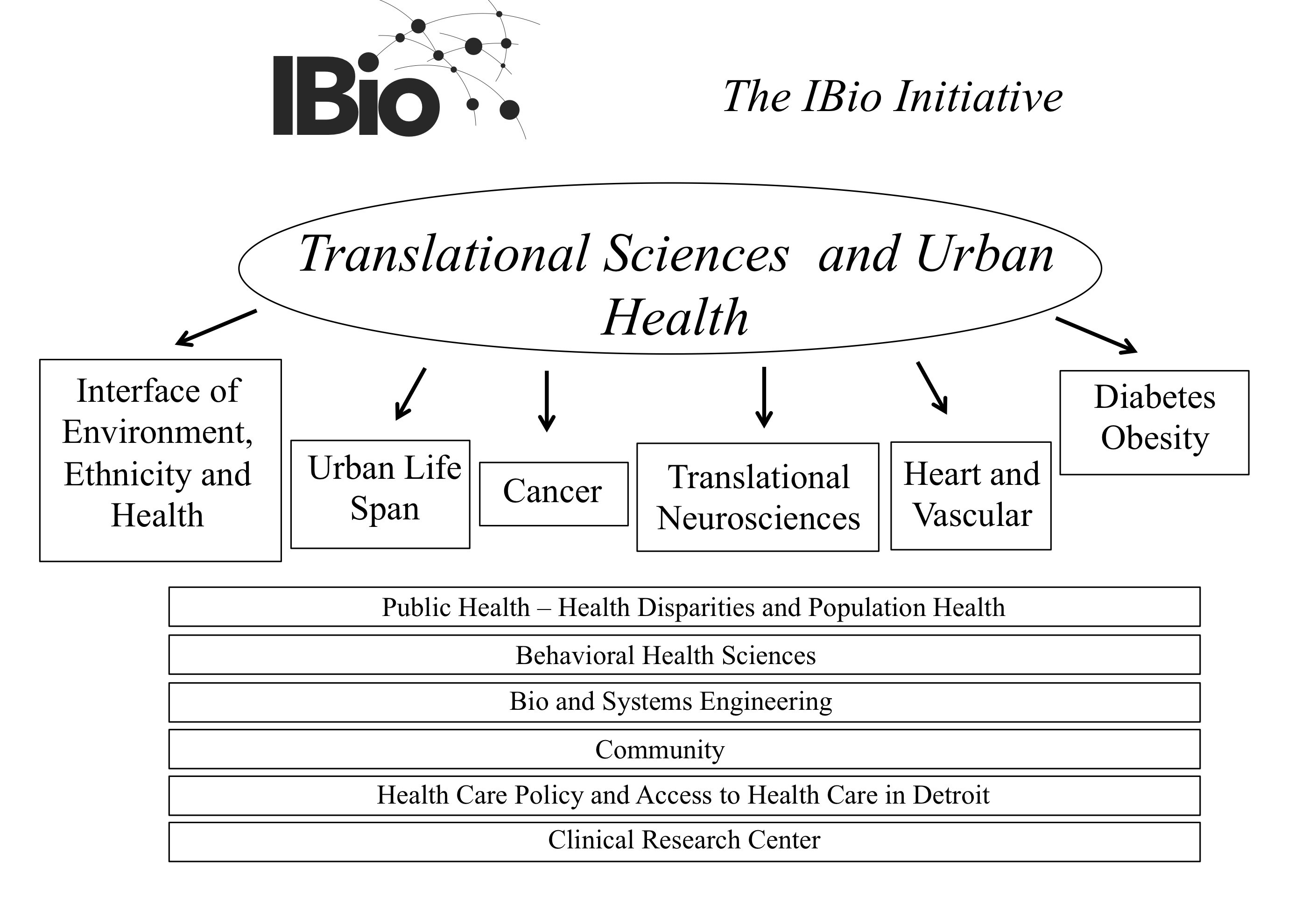 Translational Sciences and Urban Health Schematic