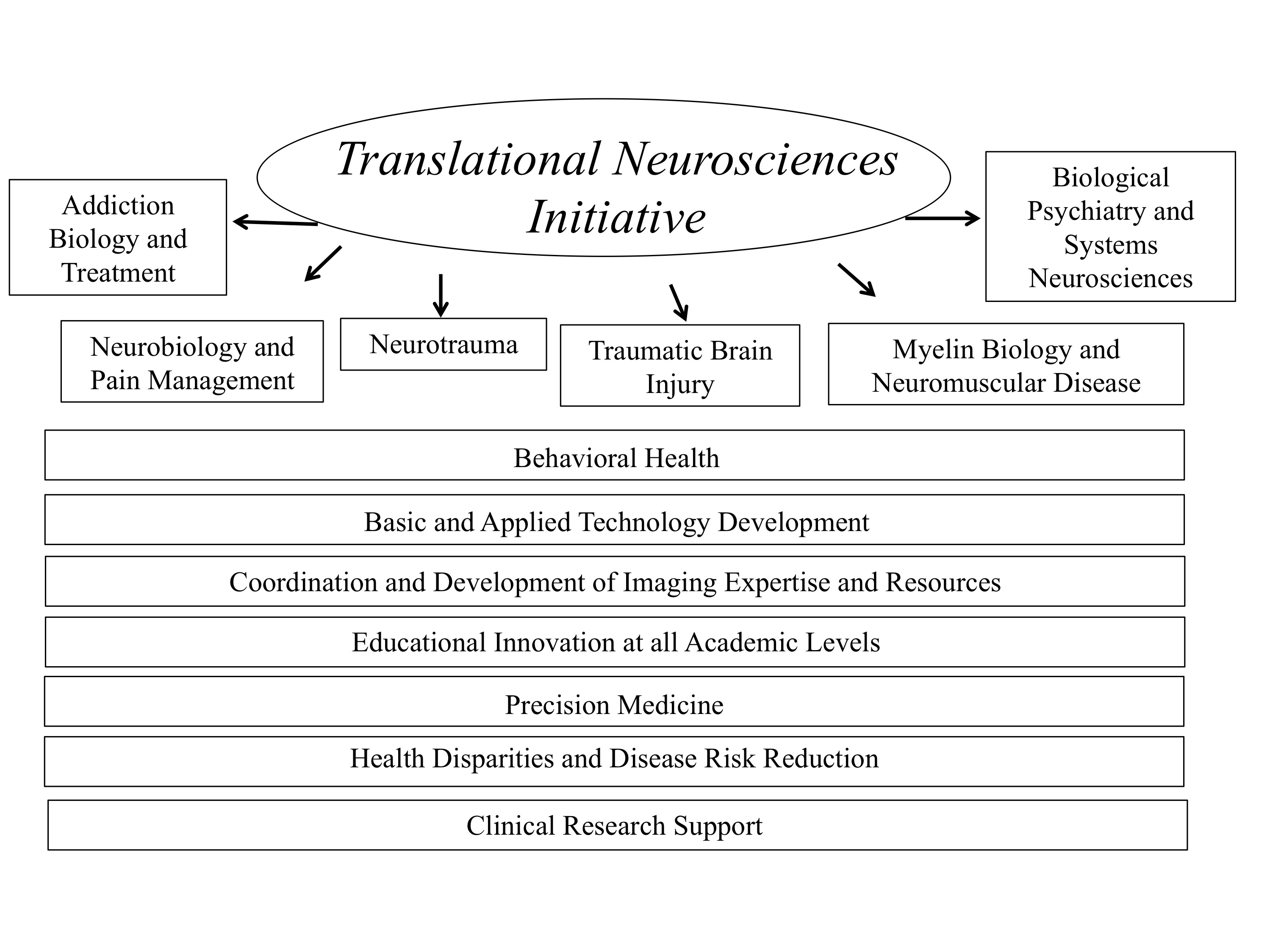 Translational Neurosciences Initiative Schematic